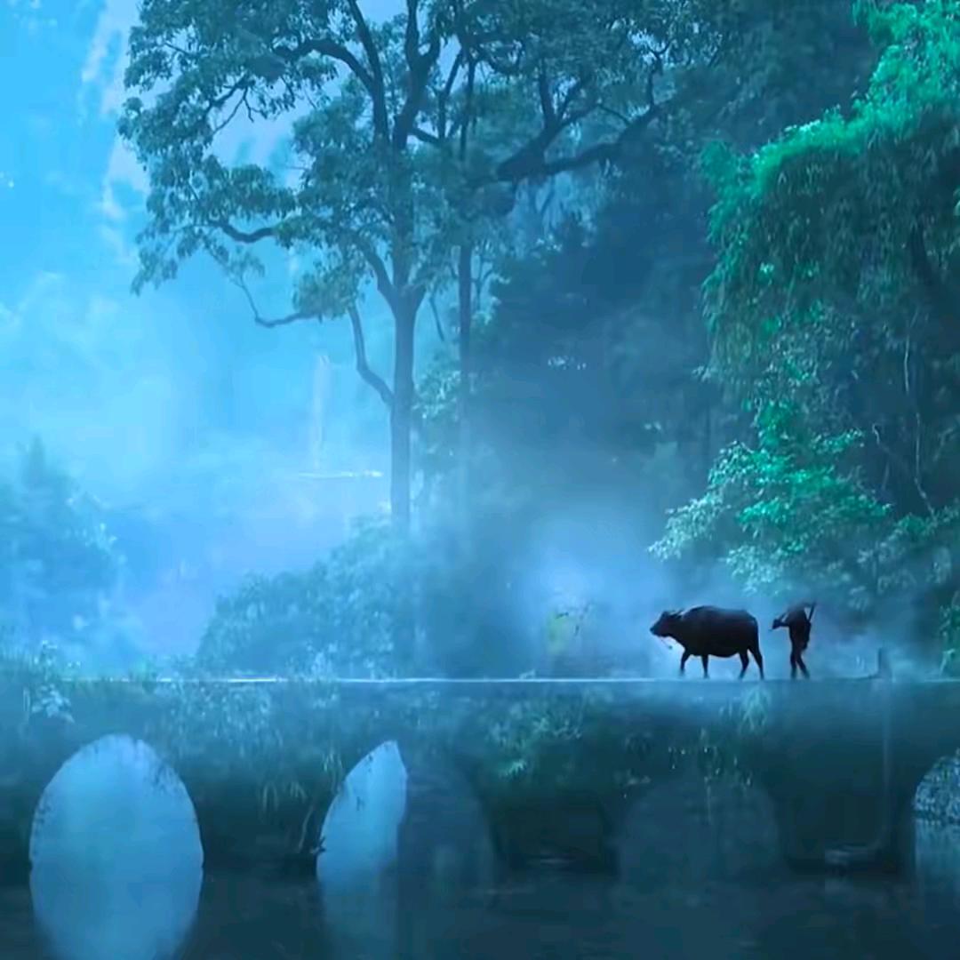 🌹往事随风🌹ྀི❤️ྀི