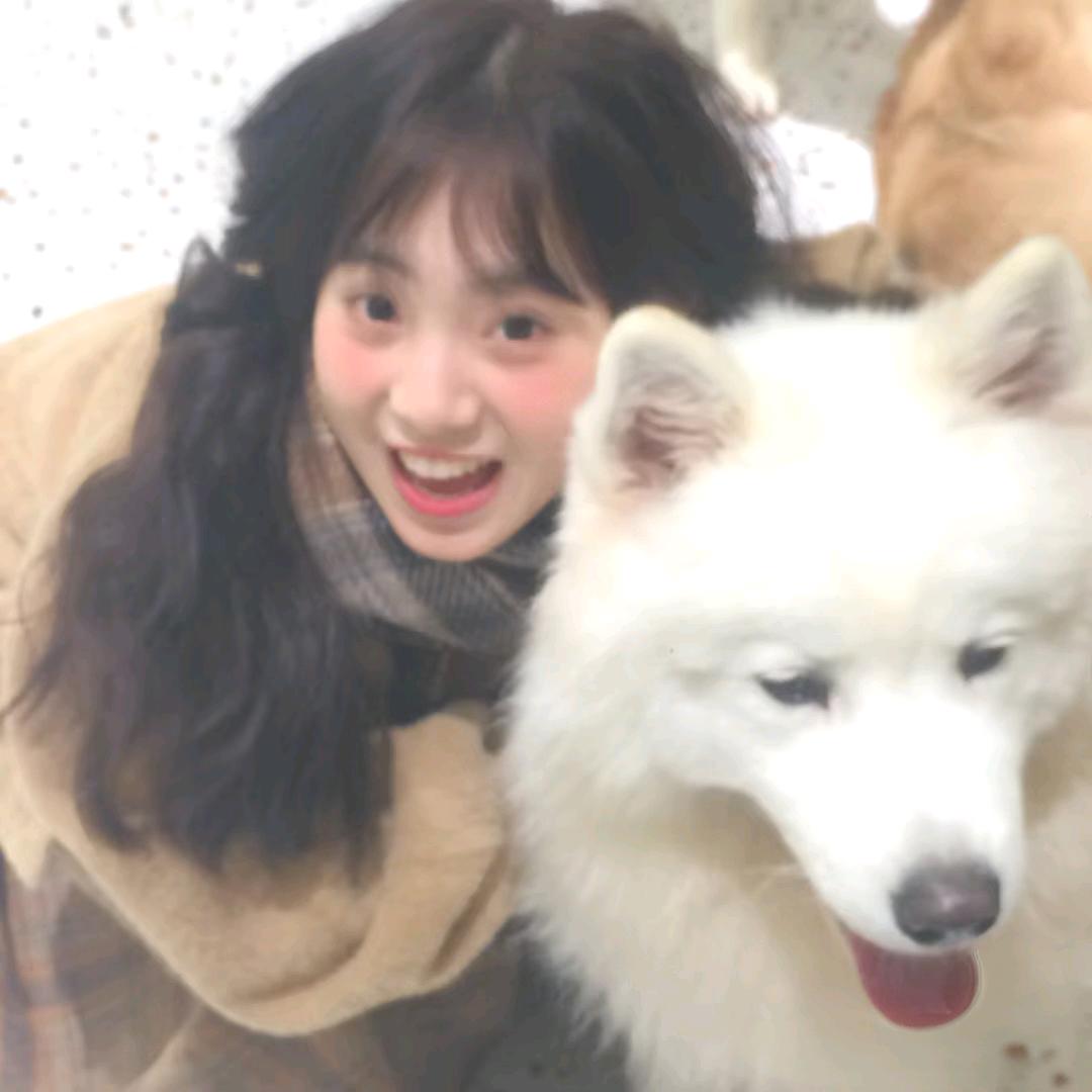 秋风起
