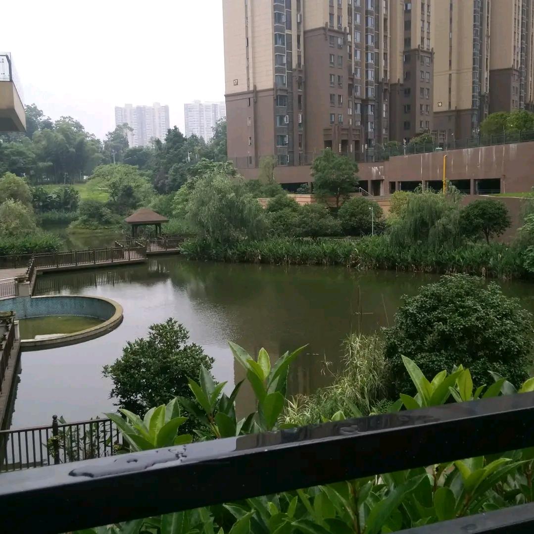 碧水悠莲