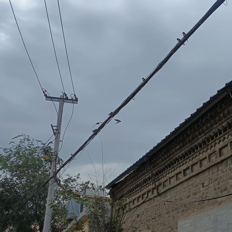 LⅰWeⅰHua！点亮中国！