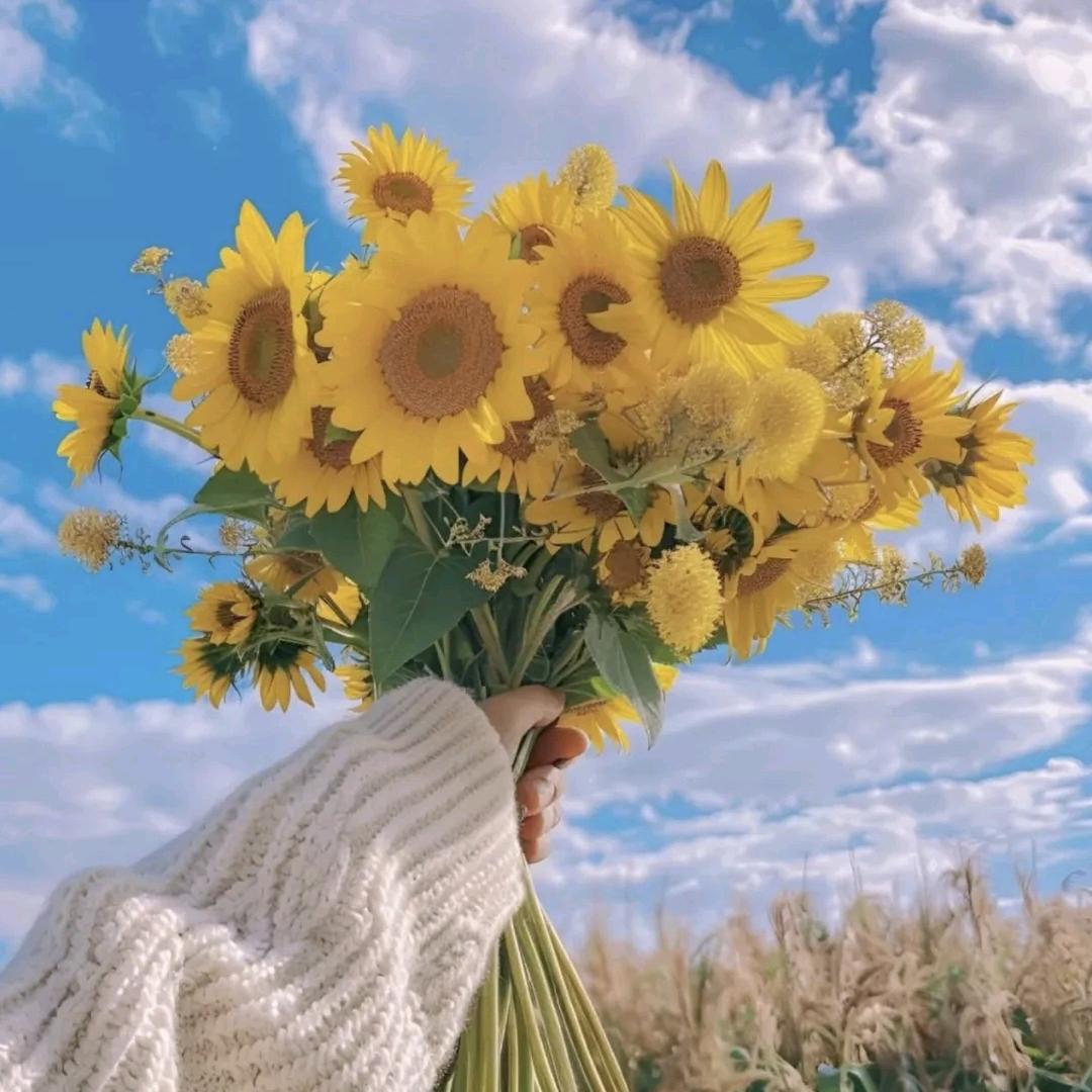 僮话（橱窗有好物）