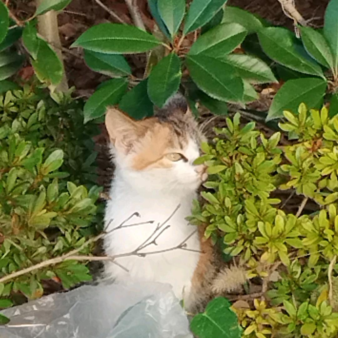 水清墨韵