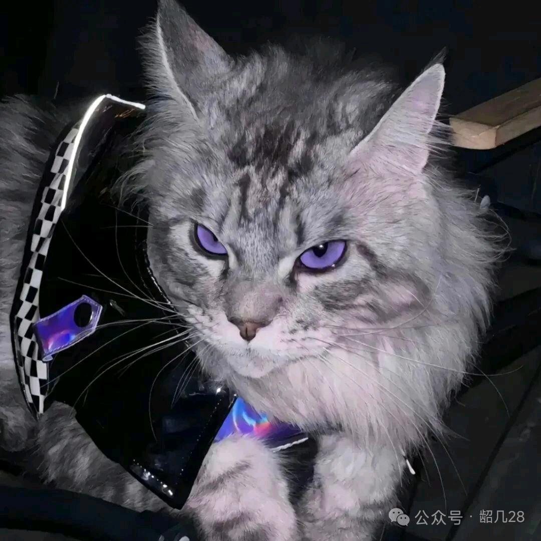 💎｀₁₂₃房仔