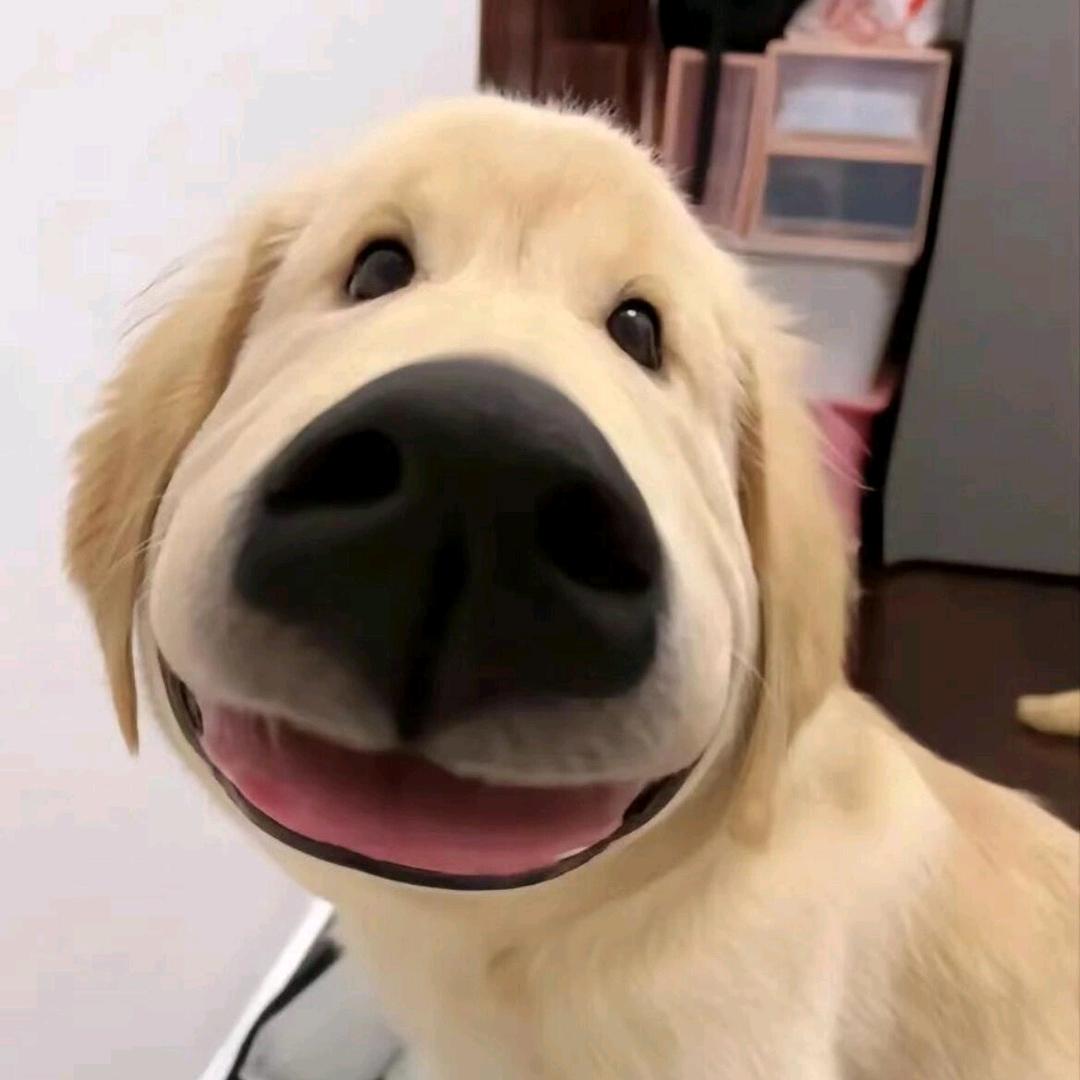 家装好物日记📷