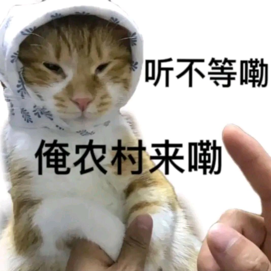一锅778