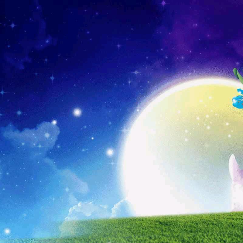 迷迷💤丿迷💞