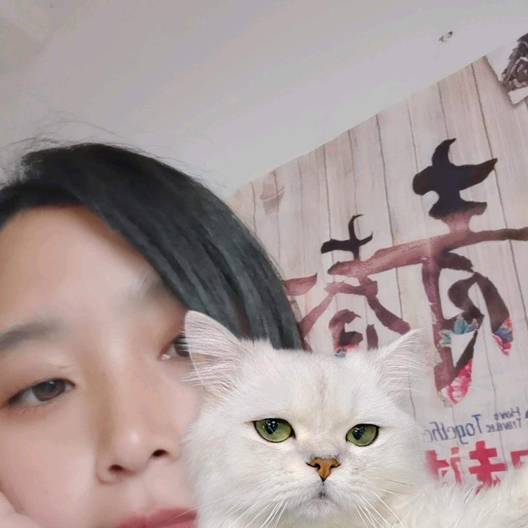 木子（丫）