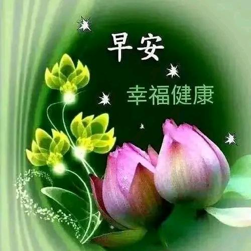 你永远不知现在人的下限