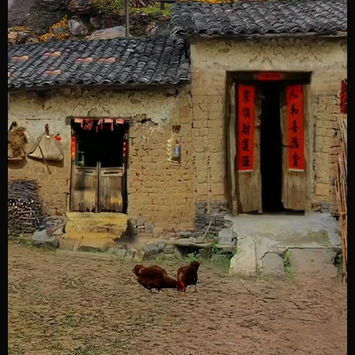 真真暴富