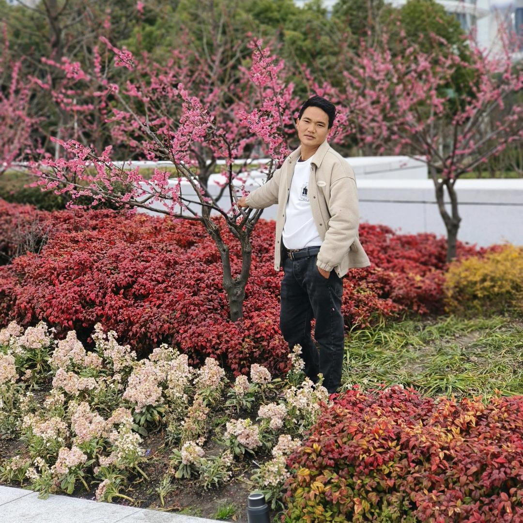 生来不是网红命