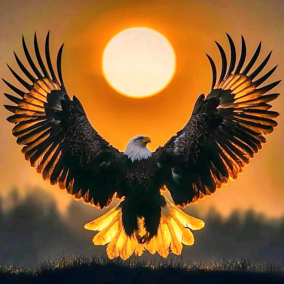 🏹静默神貂🐍💞🐍