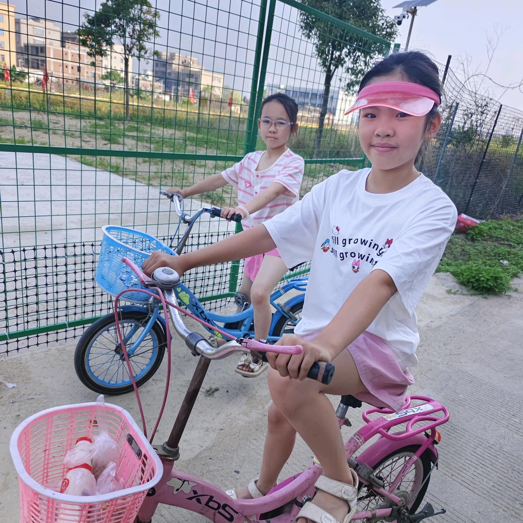 昔归