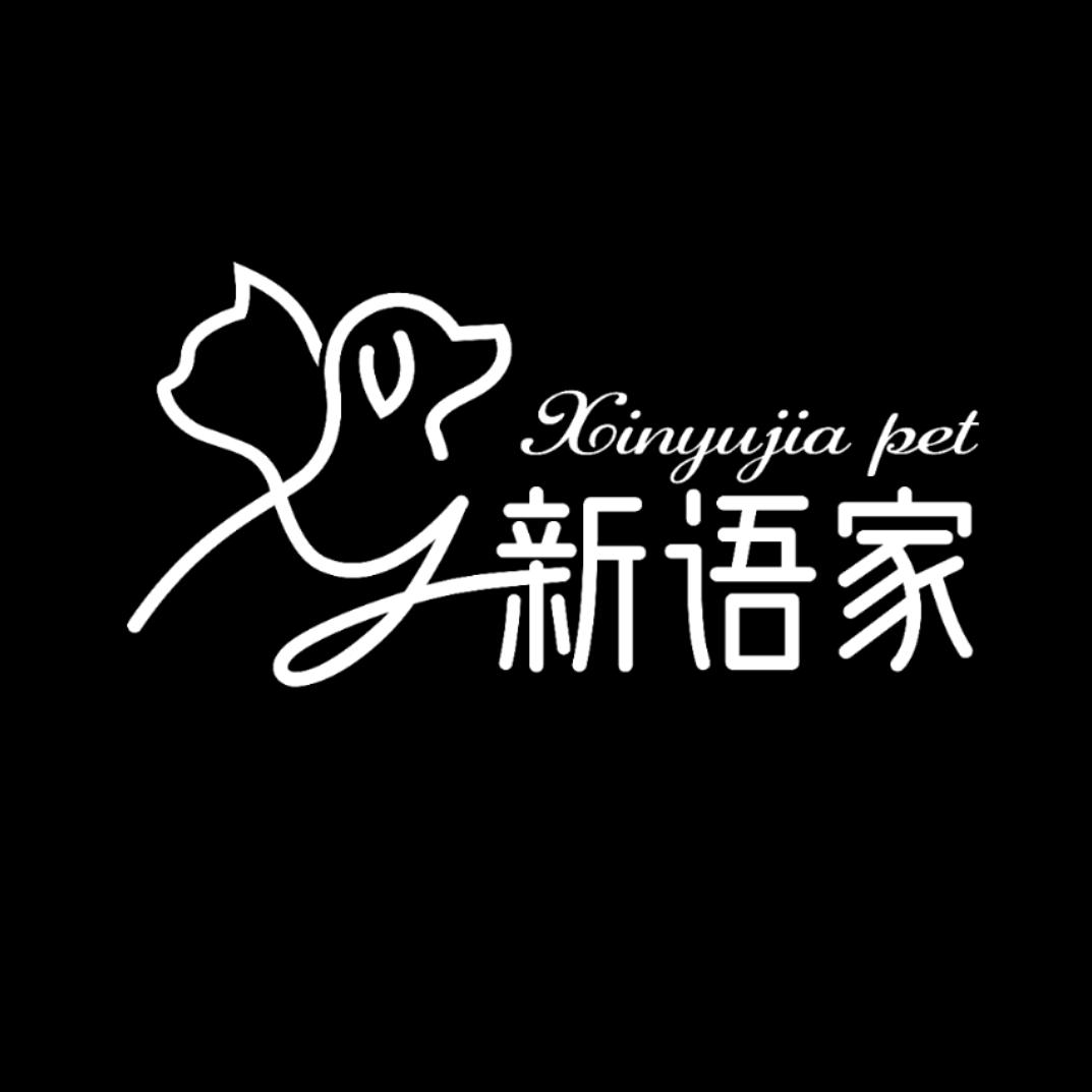 新语家的韩系比熊2