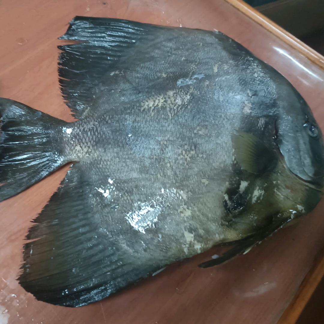 🐠余生有你