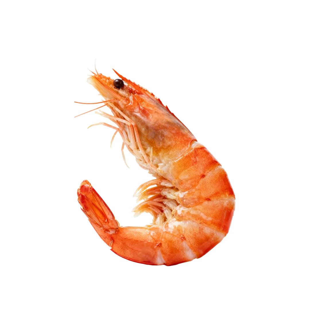 珉玦
