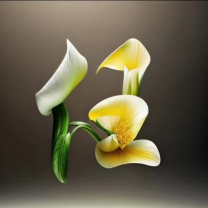 AAA欧亚德任爱叶，铝条，硅酮胶，丁基胶