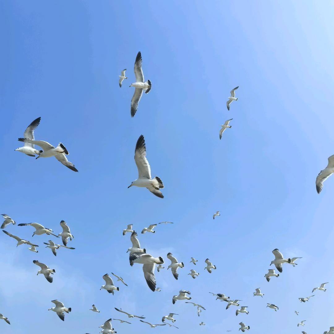 我本无意穿堂风、偏偏孤据引山洪