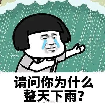 如新而遇