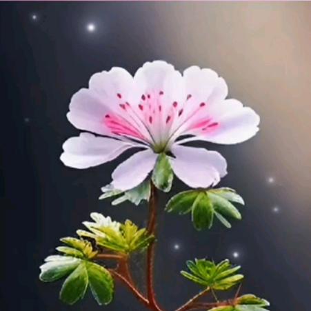 千人追不如一人疼