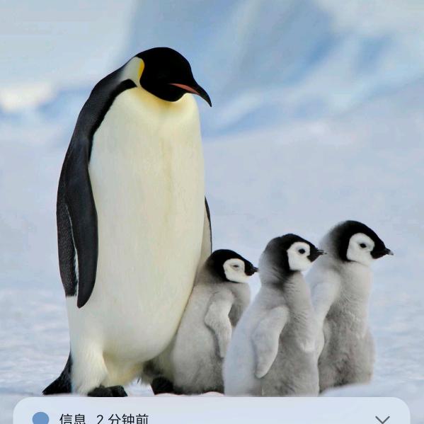 为自己加油