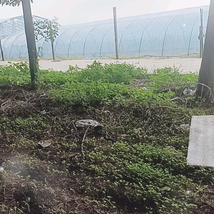 忘记过去