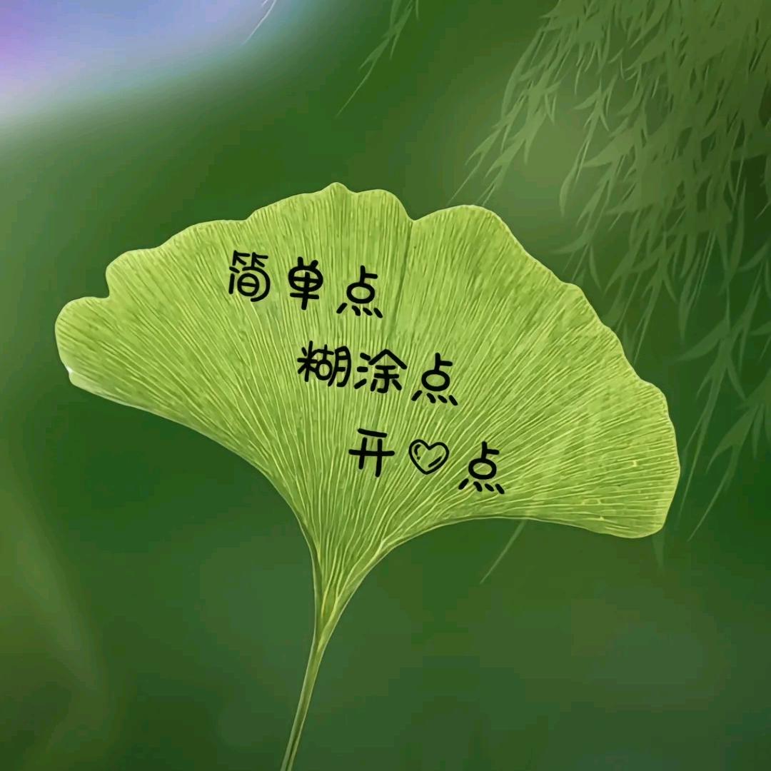 风轻云淡999