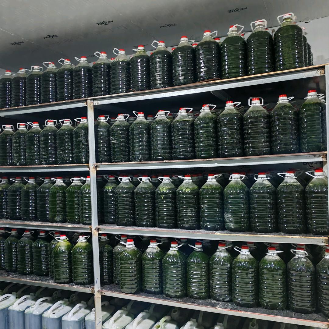 小球藻～丰年虫卵～轮虫卵