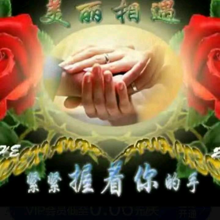 ❤️倪姐❤️
