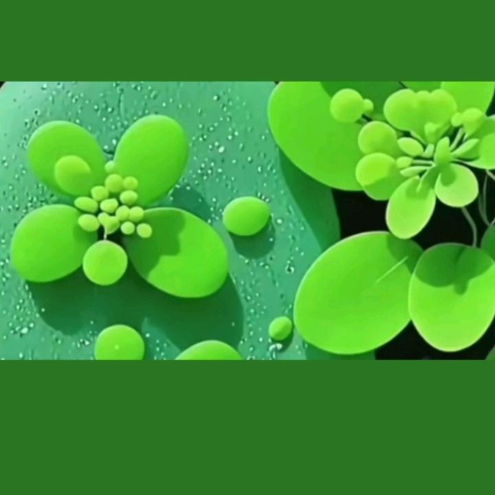 一个人挺好