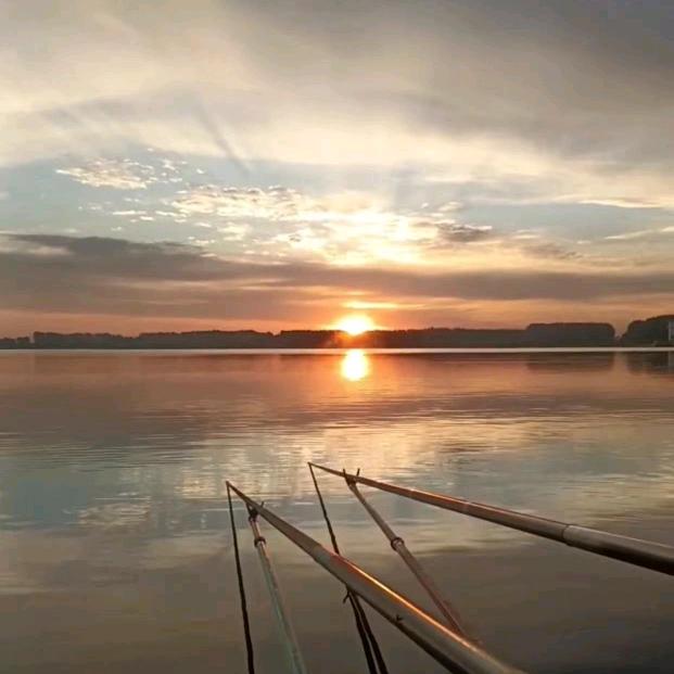 账号已被注销✔