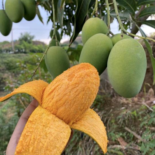 聚福生鲜🥭