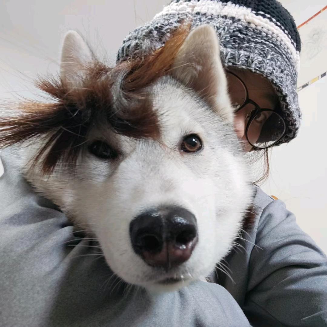 一顿两盒大薯