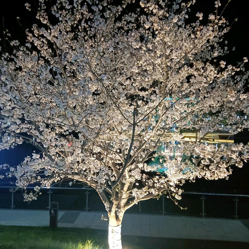 平安一生