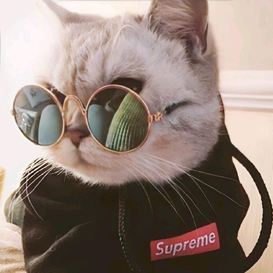 江十三～