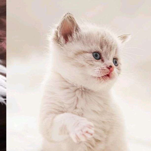 衡阳十胡卡教练