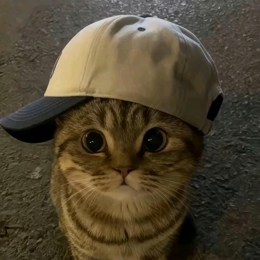 人在做，天在看