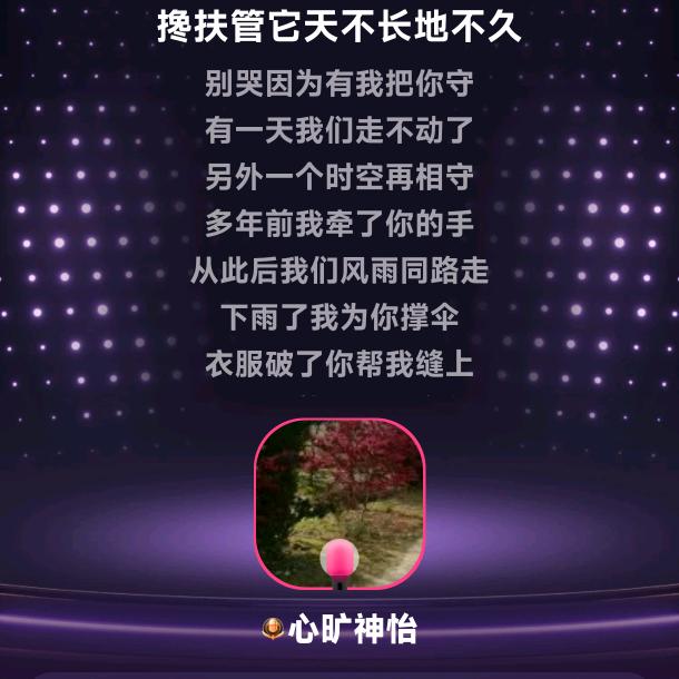 天天乐