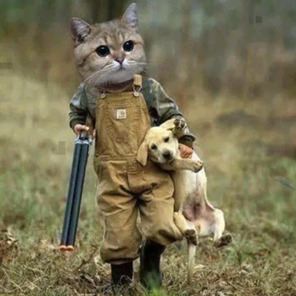 张🐟小丸子（私回）