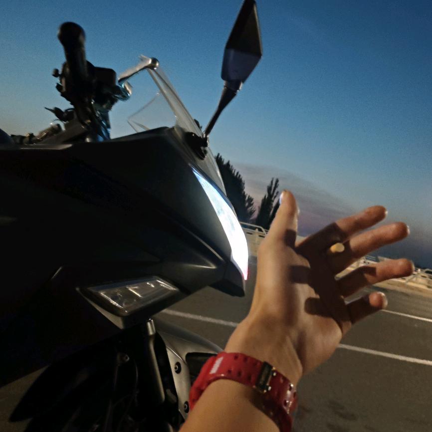 满山猴子俺锭最红か