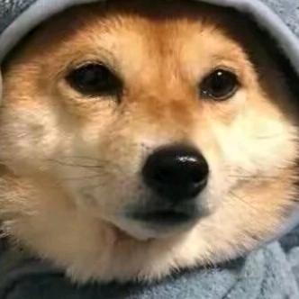 爱吃柠檬(高三版)