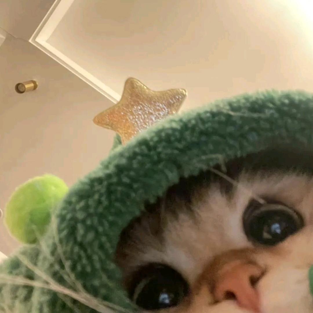 泡泡肥猫