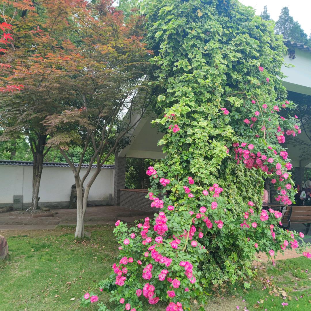 万可可  生活小常识