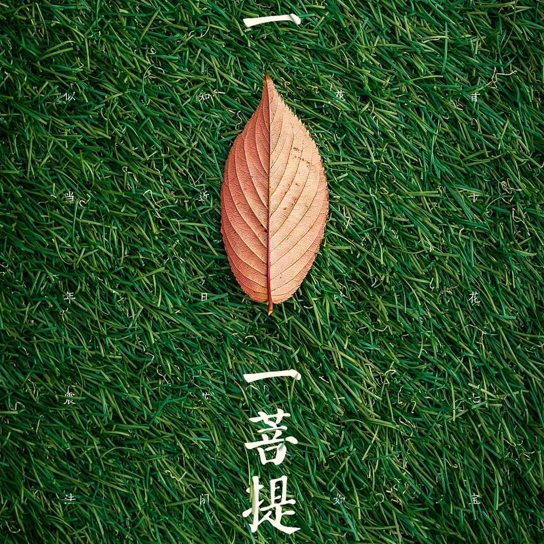果满圆满