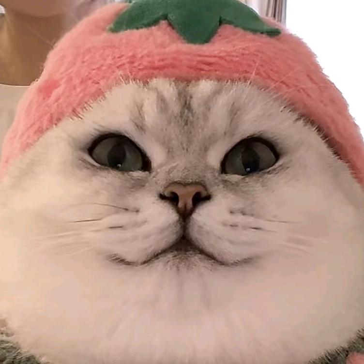 🌻泡泡泡泡泡泡🌈