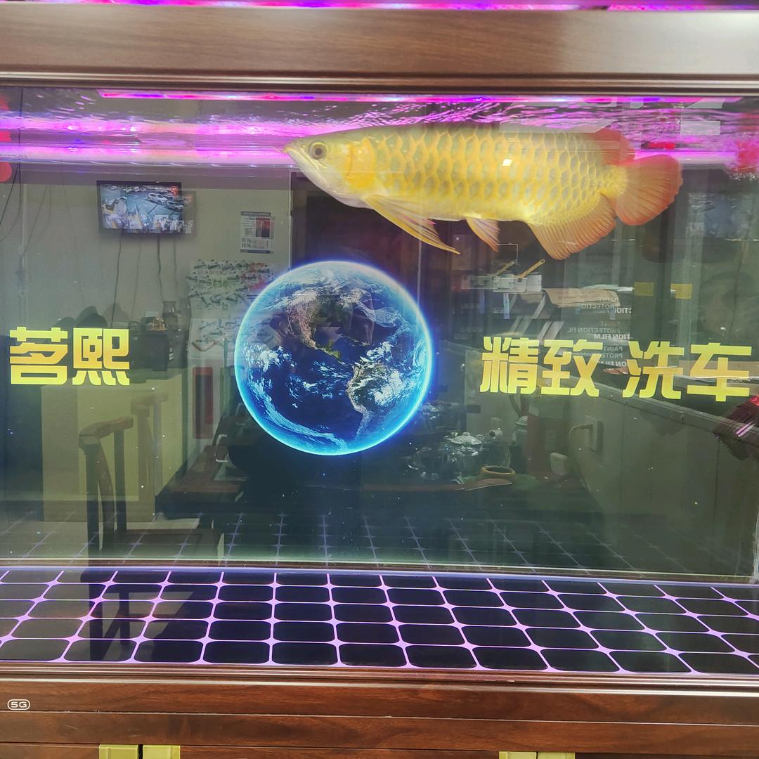 茗煕精致洗车（京滨店）车衣、改色、玻璃膜