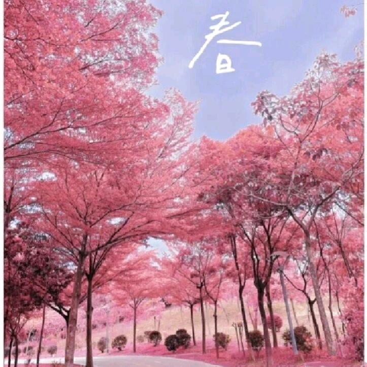 ͏͏ ͏͏🥀ℒᎭℯ發ꦿ҉᭄࿚ནོ