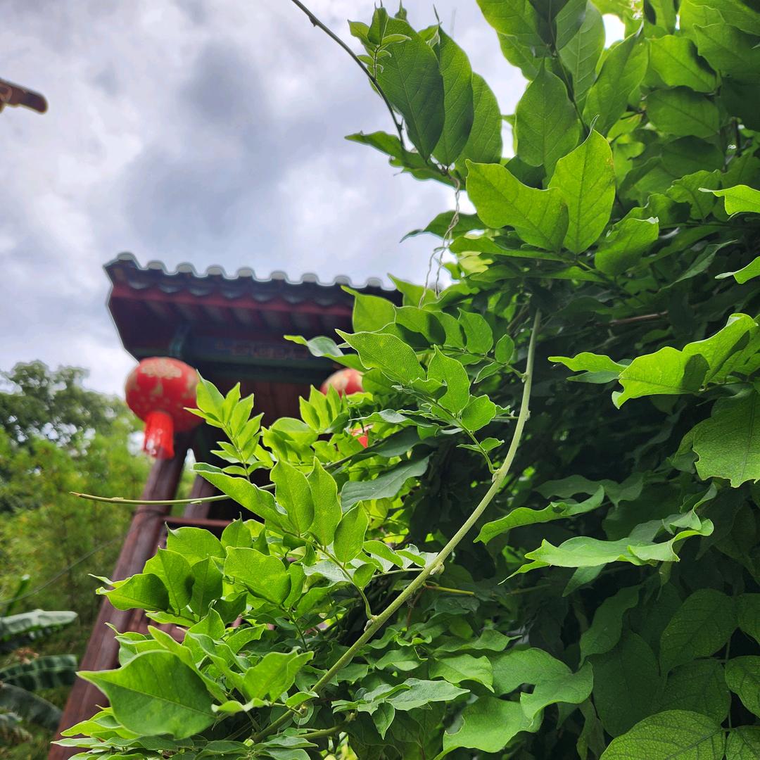 简单的小小幸福