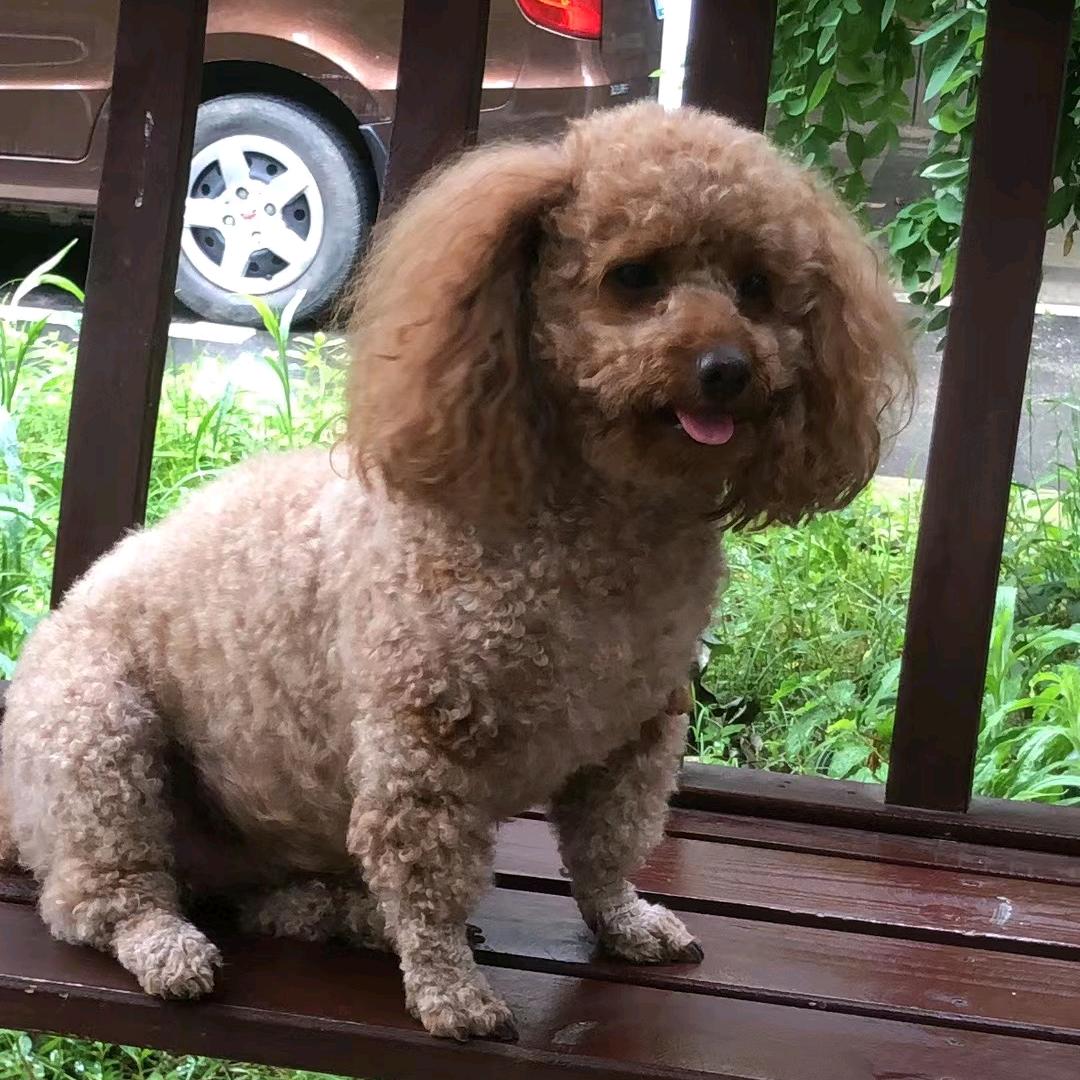 ↙王小明