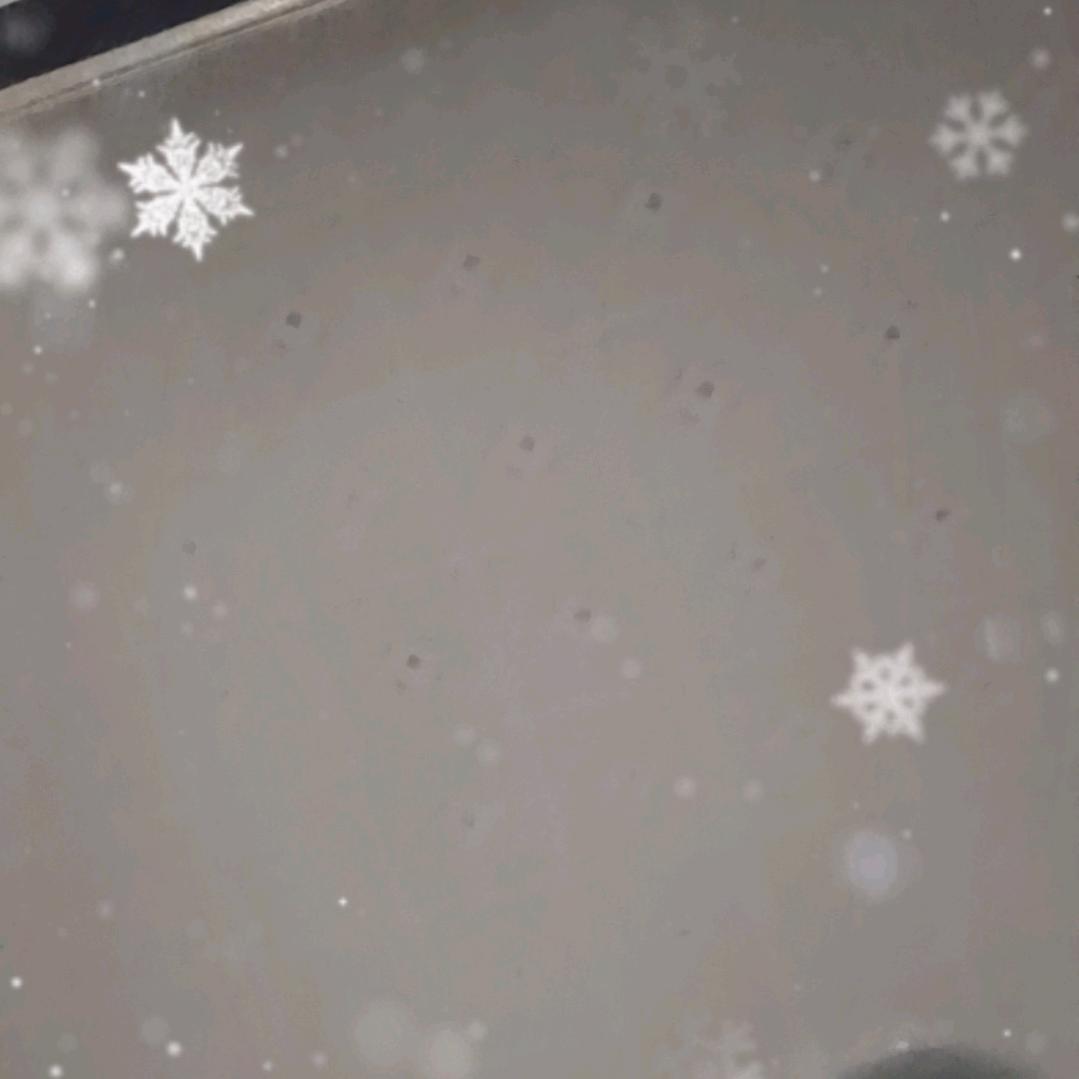 姬总