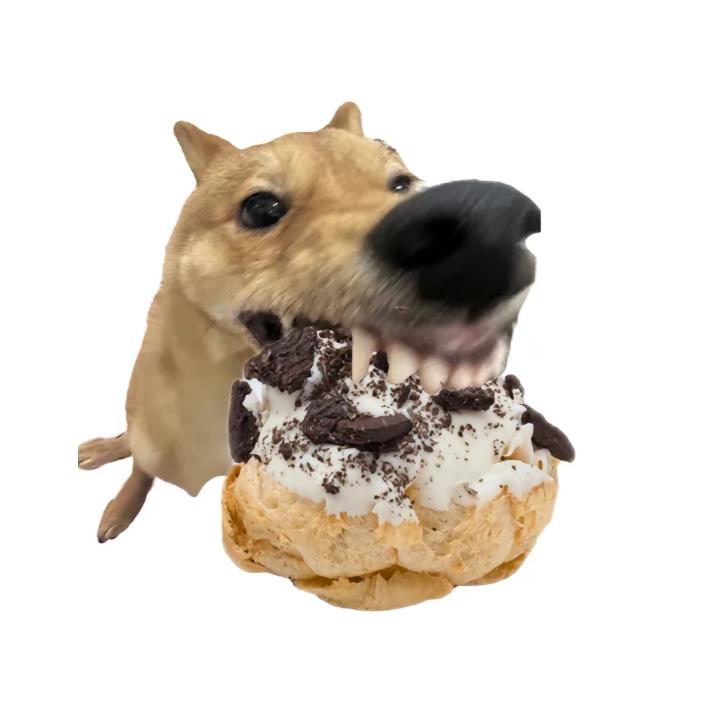 咕噜鱼